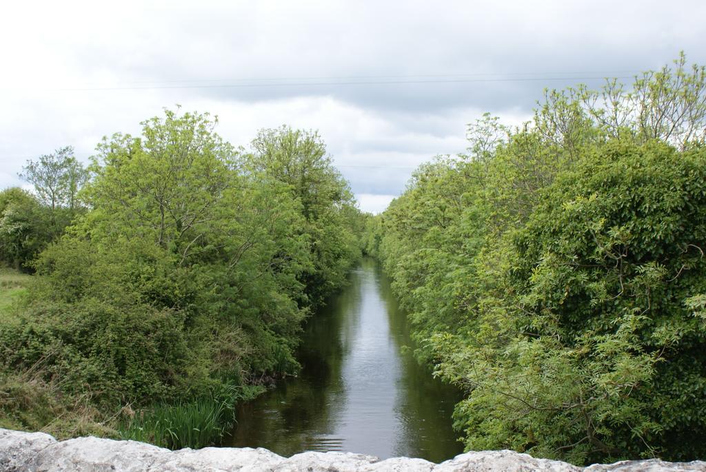 B&B The Silver Eel Strokestown Bagian luar foto